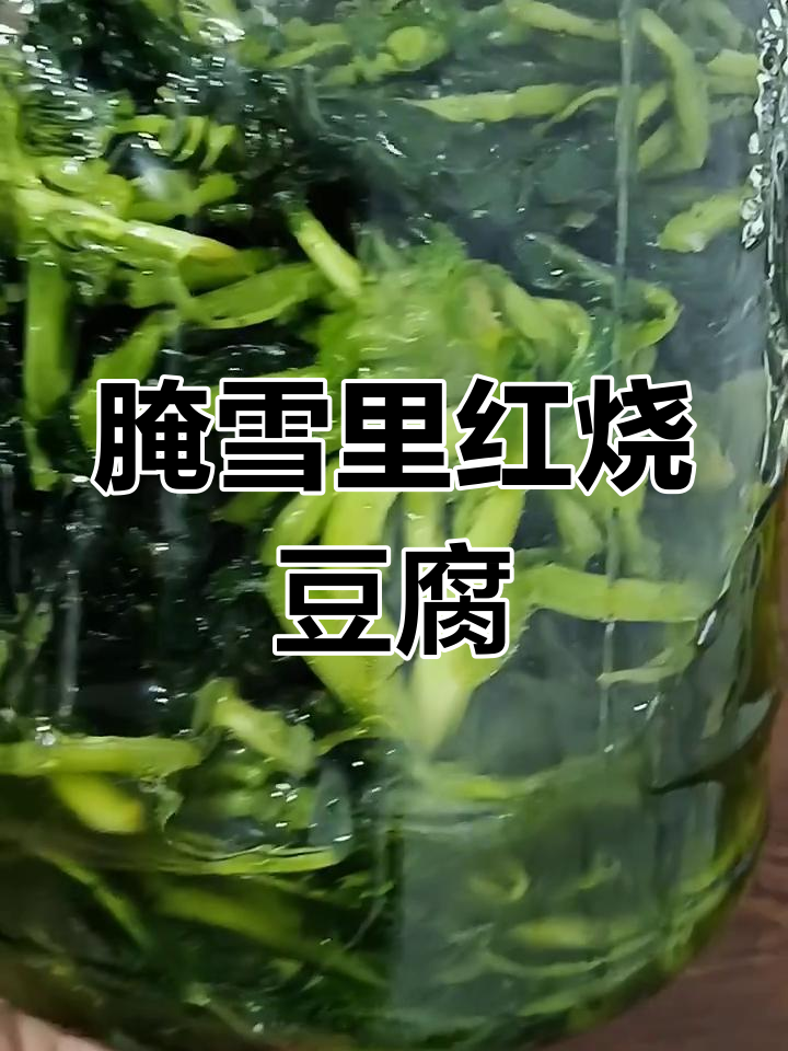 雪里红炖豆腐,咸菜拌饭超下饭!5斤雪里红配半斤盐腌制技巧