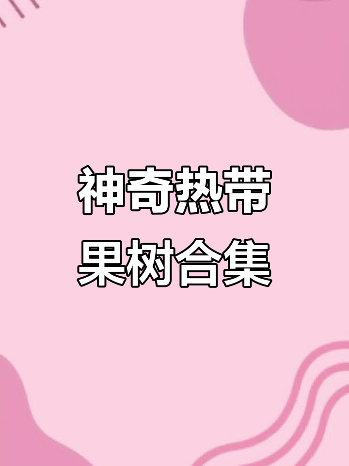 热带果树大揭秘:无籽面包果、香饽饽等惊艳登场