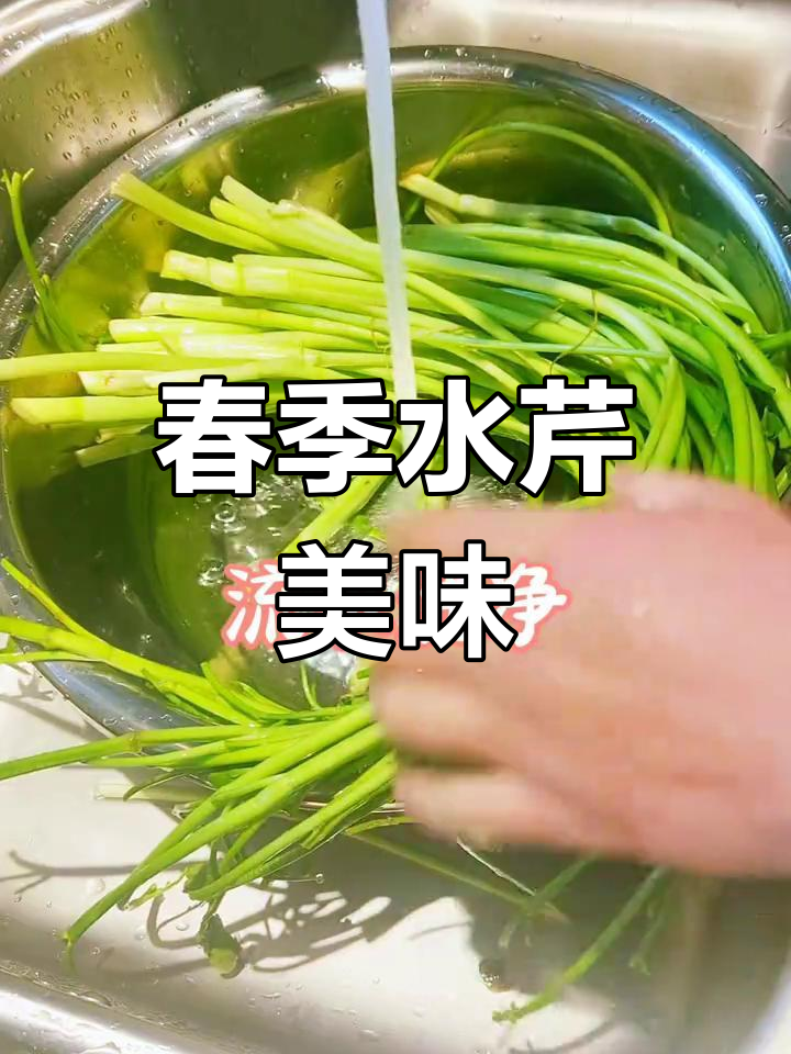 水芹菜,江南春味,清炒保留原香,清爽可口!