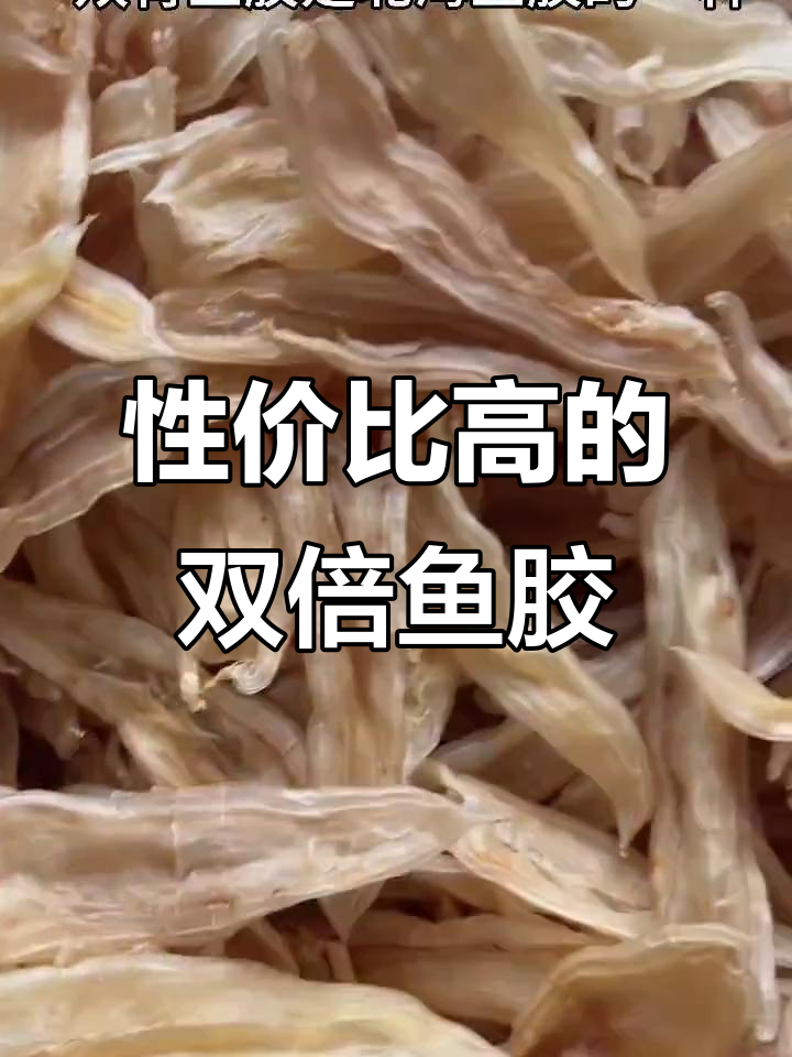 双背鱼胶:滋补美容,男女老少皆宜的平价选择