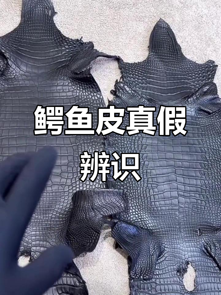 你知道如何辨别鳄鱼皮的真假吗?这视频教你轻松识别!