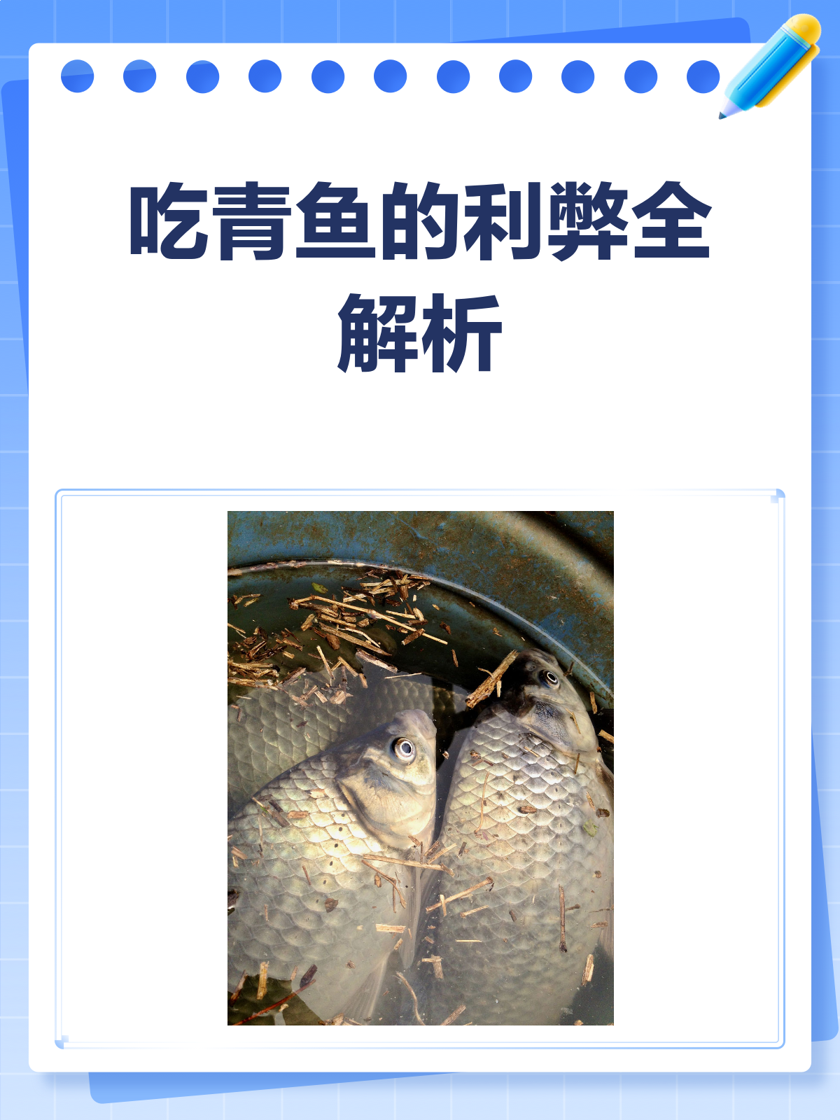 吃青鱼,到底好不好?看完这篇就懂了!