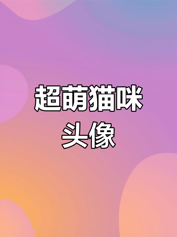 呆萌猫咪头像,大眼可爱超有爱