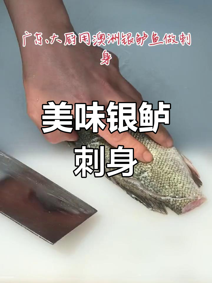 澳洲银鲈刺身,口感鲜美,弹牙香滑,回味无穷