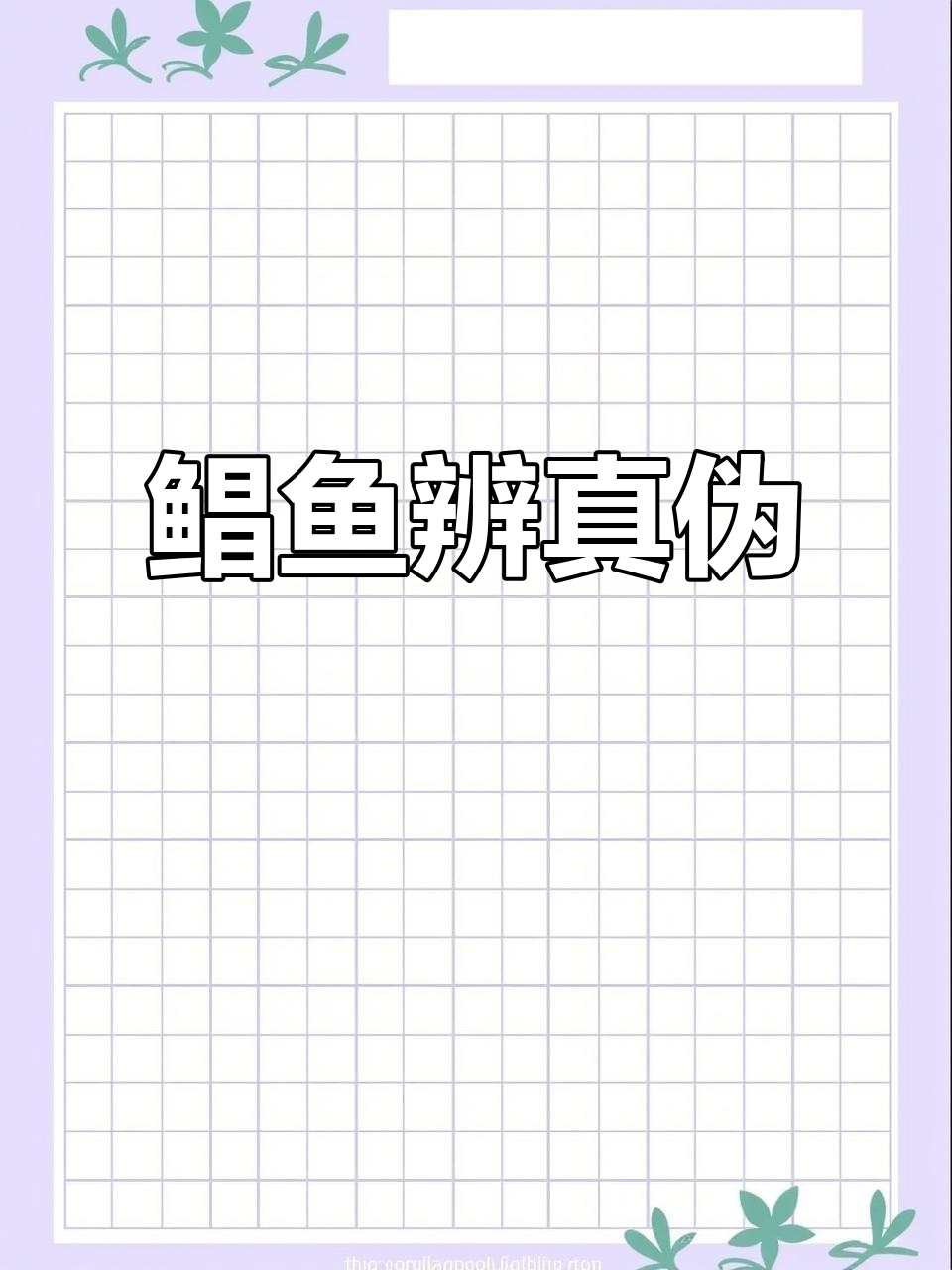 银鲳鱼与其他鲳鱼的辨别技巧,避免花冤枉钱!