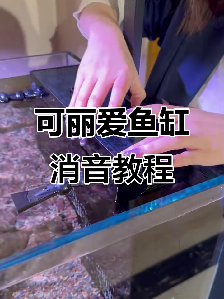 承德可丽爱鱼缸消音调节技巧,轻松去除噪音