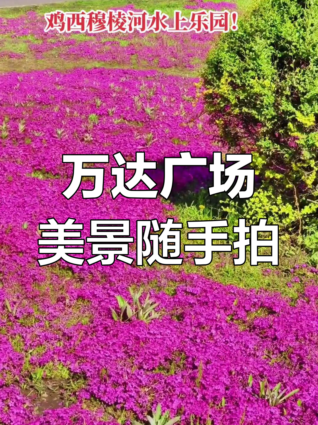 蓝天白云下的万达广场,散步随拍美景尽收眼底
