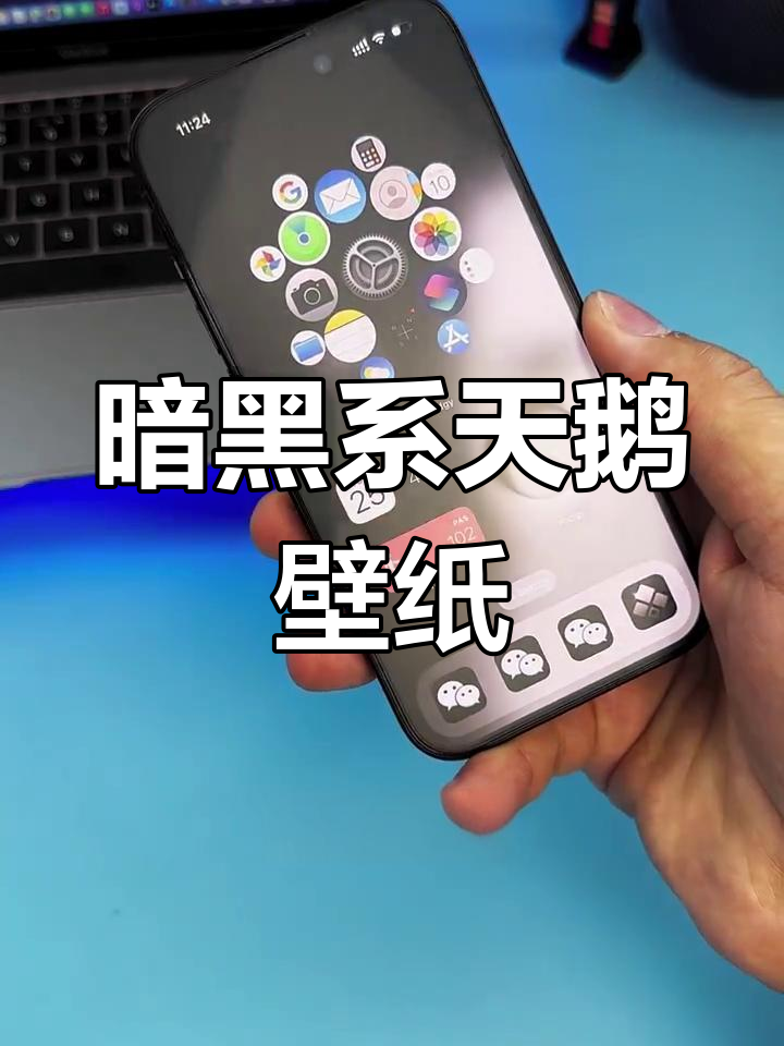 黑白天鹅暗黑壁纸,简约又高级感十足