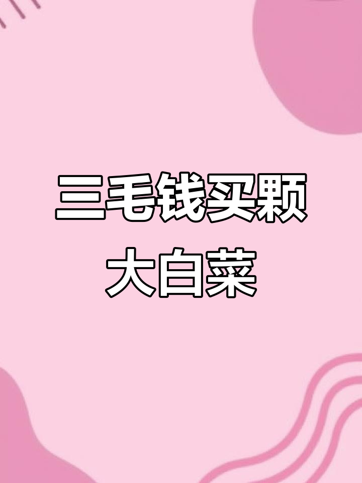 东北冬天大白菜,三毛钱一斤超便宜!
