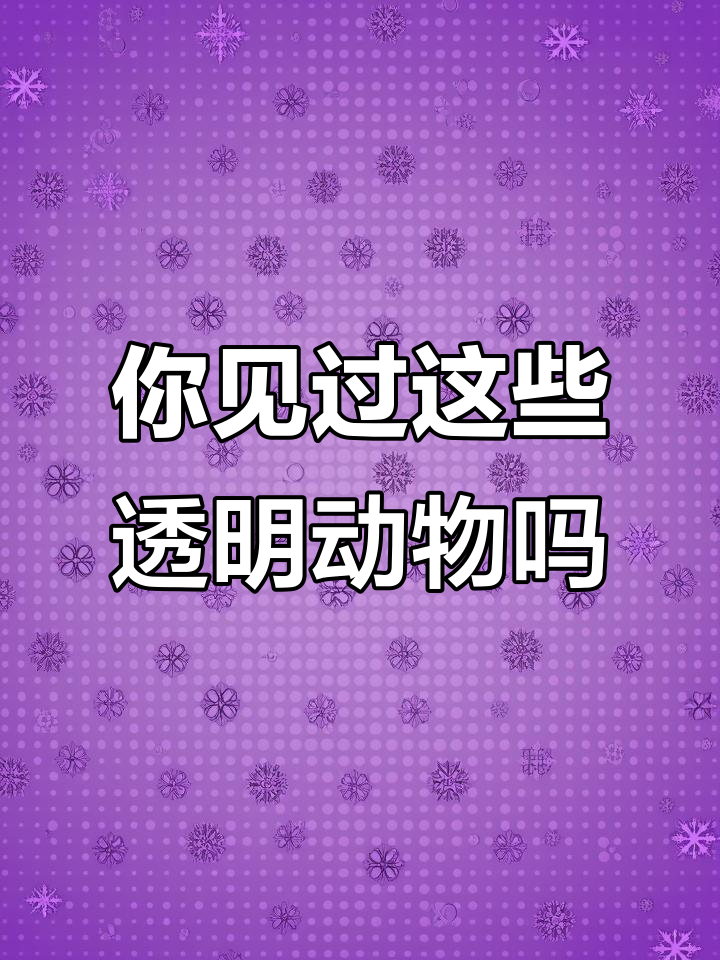 透明生物大揭秘：海螺、柳叶鳗与玻璃章鱼
