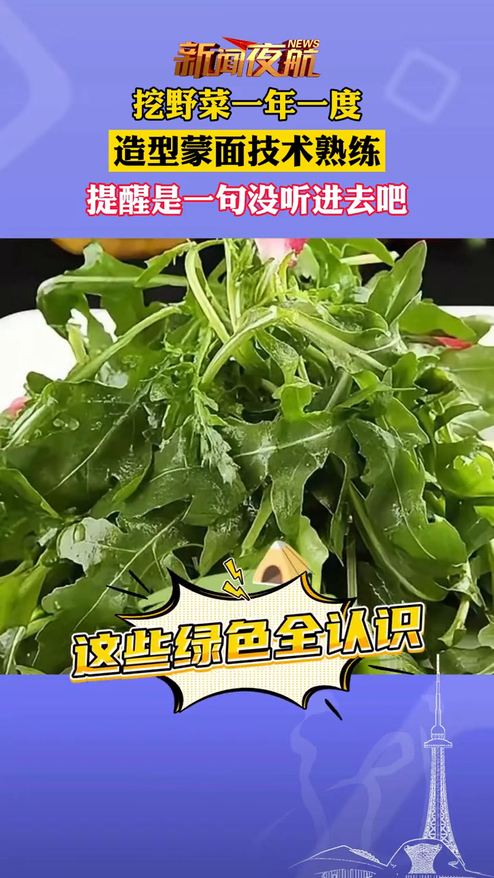 挖野菜一年一度,造型蒙面技术熟练,提醒是一句没听进去吧!