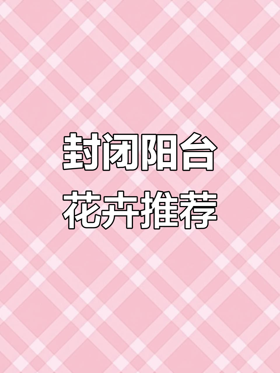 封闭阳台100种花草,七彩铁如何搭配?