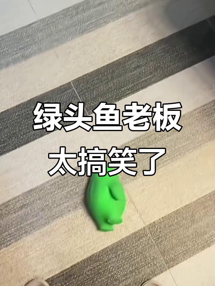 绿头鱼老板雨天现身,竟然这么搞笑!