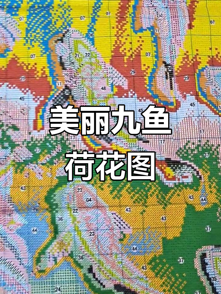 九鱼荷花图,十字绣爱好者必看!