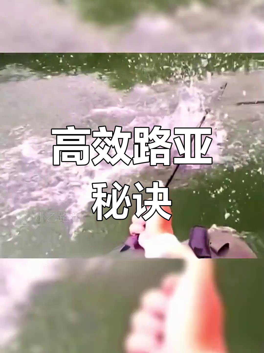 路亚饵轻松上鱼,水面冲劲十足,挂底问题一网打尽!