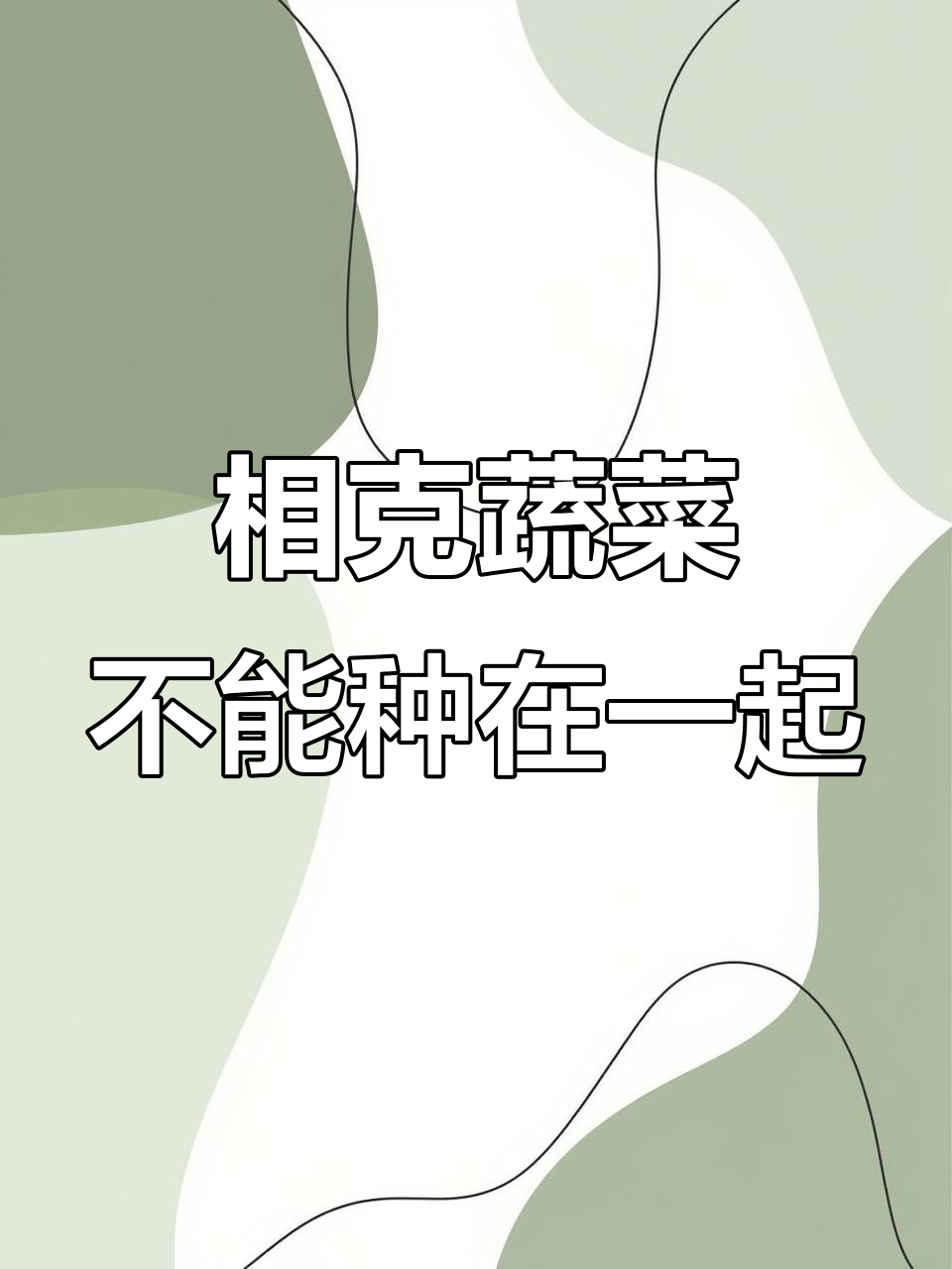 蔬菜种植有禁忌,这些组合不宜放一起