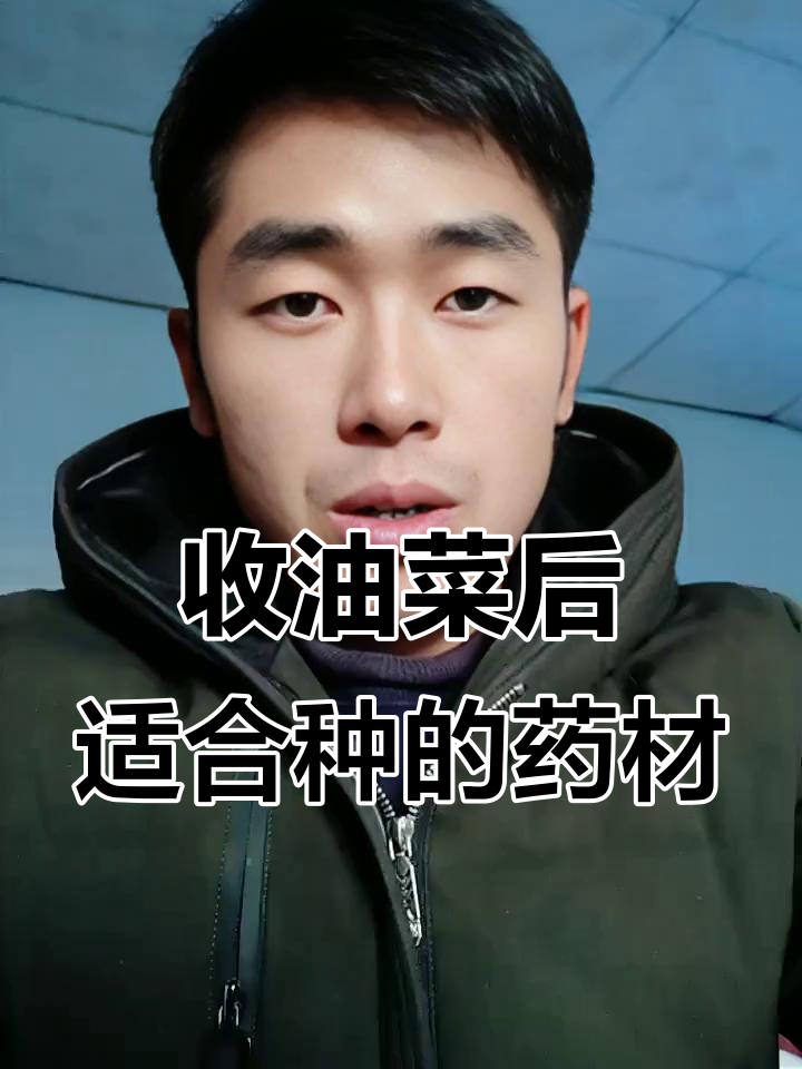 油菜收割后种什么药材?三四个月就能见效,管理轻松