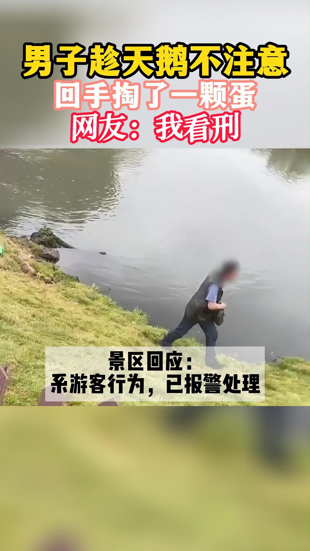 黑龙江一男子翻越景区护栏,偷走一枚黑天鹅蛋,景区已作出报警处理,人暂未找到。@抖音短视频 