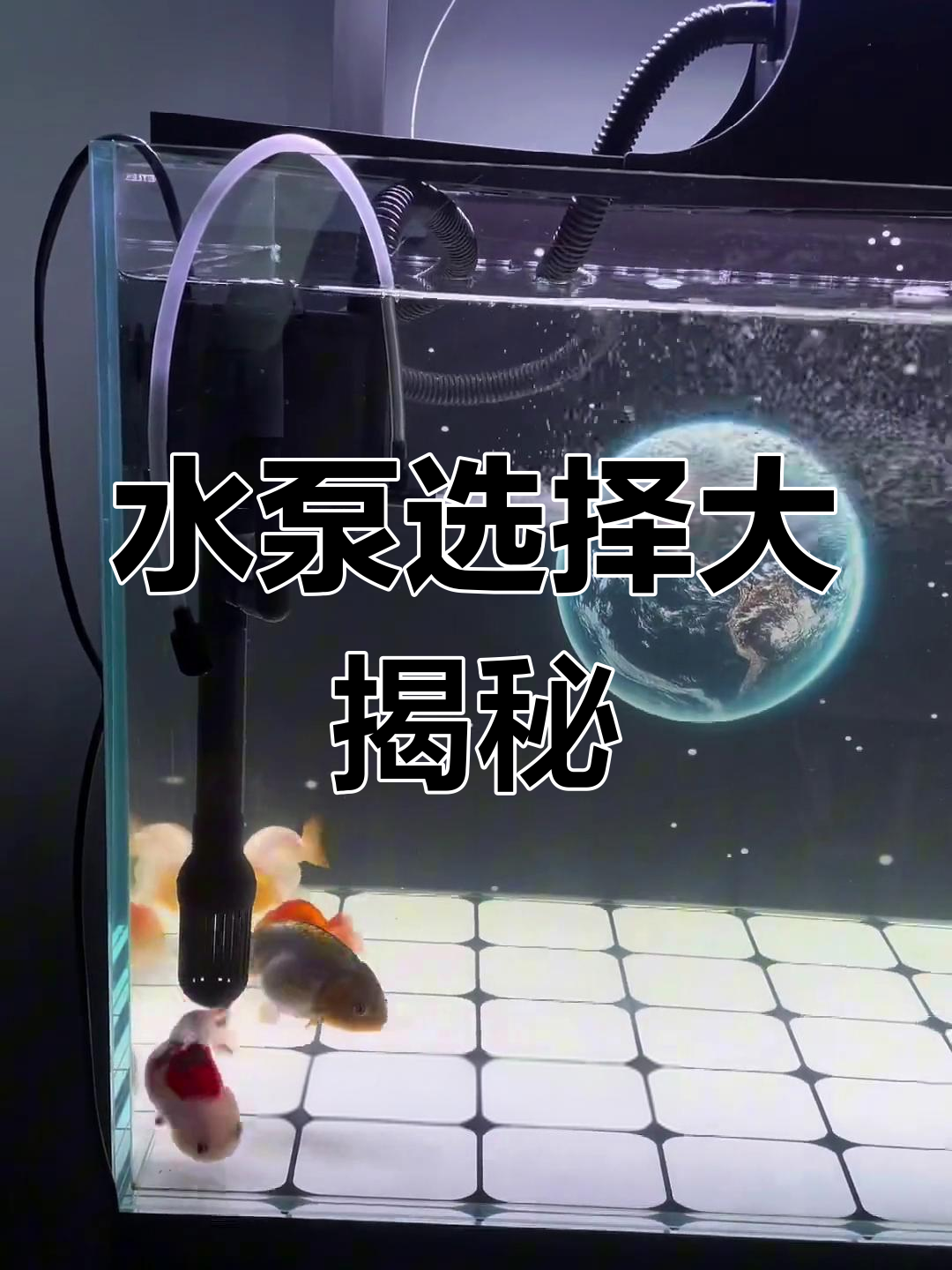 三合一水泵效果如何?看看其他鱼缸主怎么选!