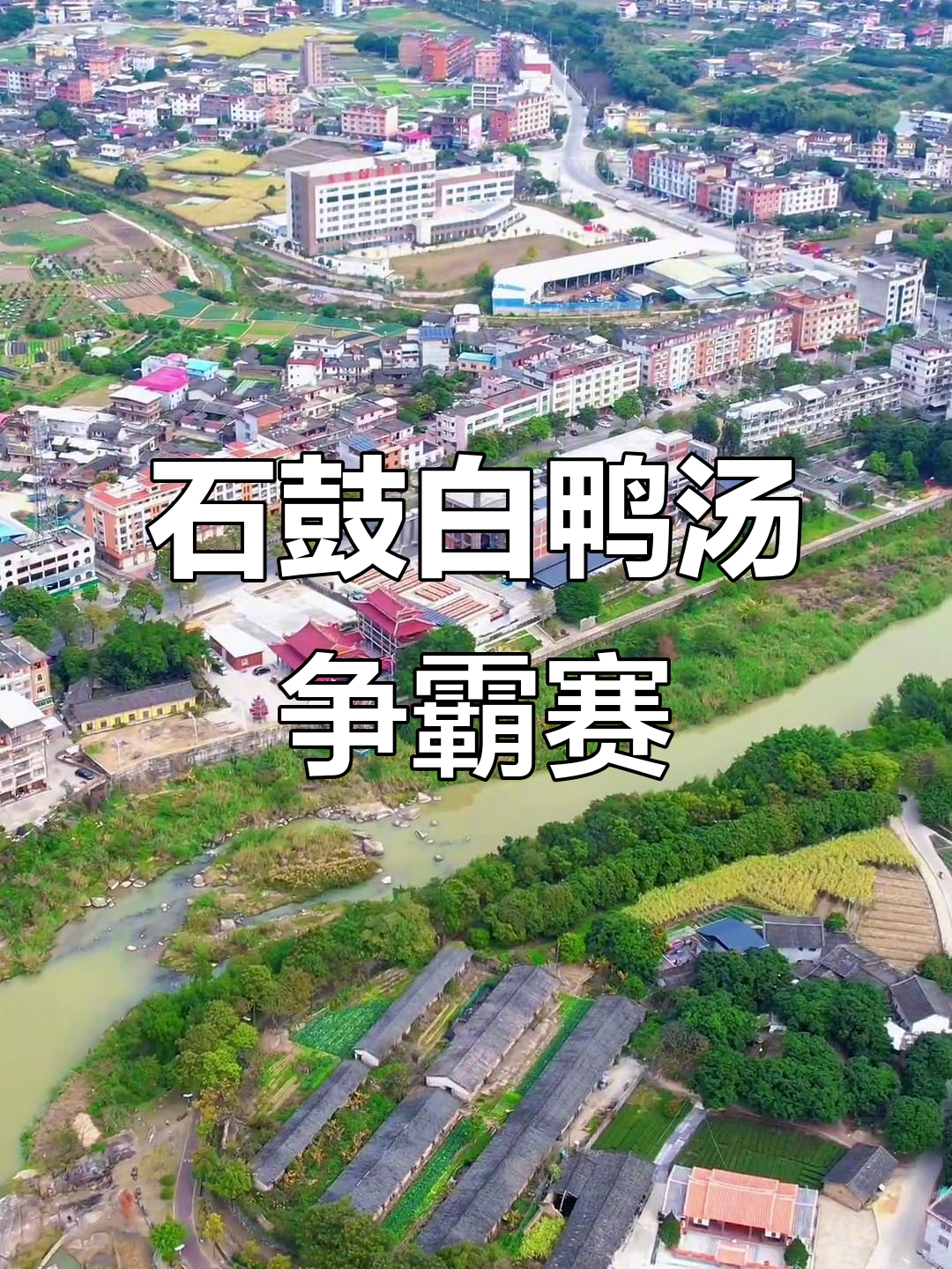 石鼓镇白鸭汤大比拼,哪家才是最正宗的味道?