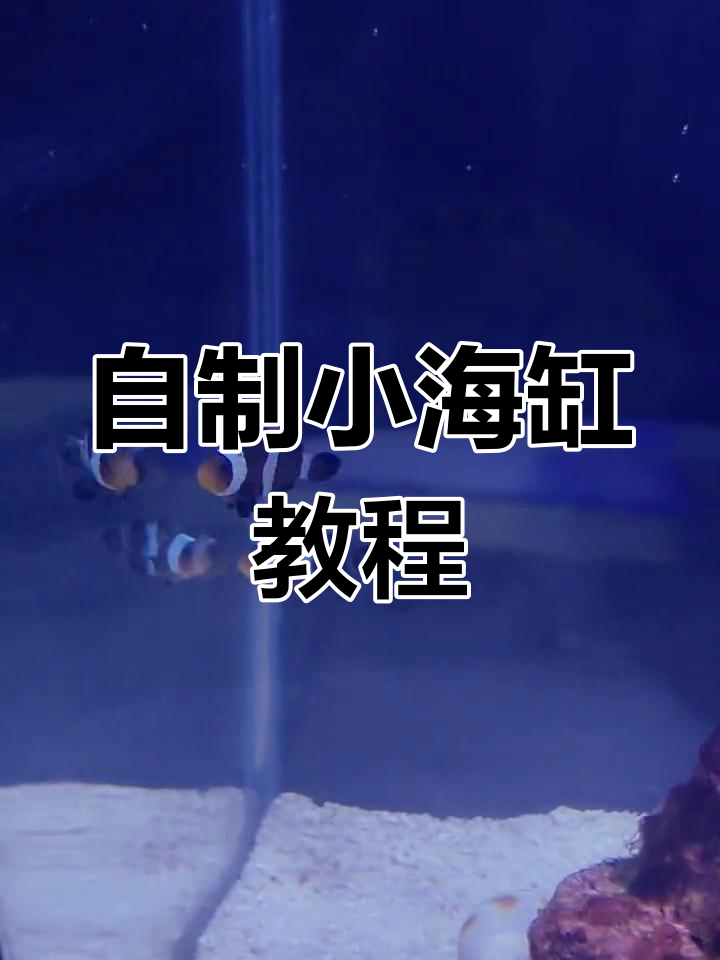家庭海水鱼缸制作全攻略