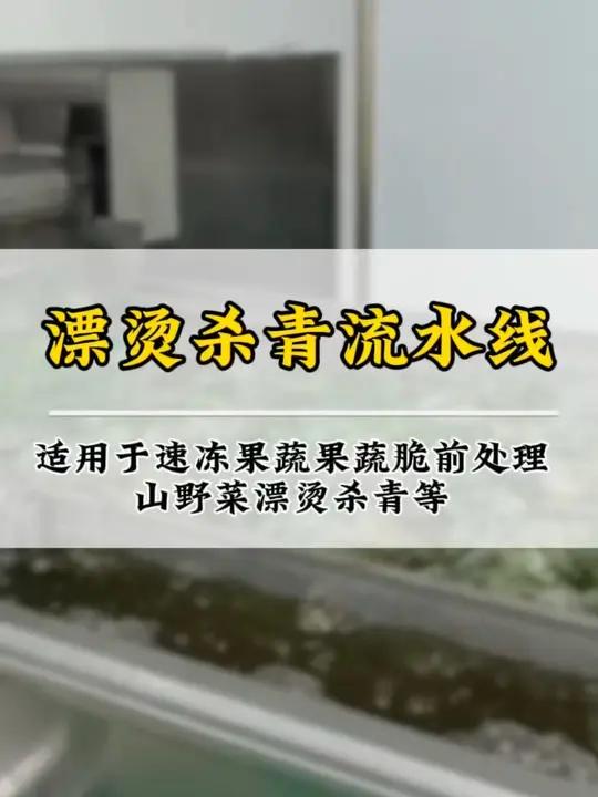 山野菜漂烫 果蔬杀青固色 速冻果蔬前处理设备