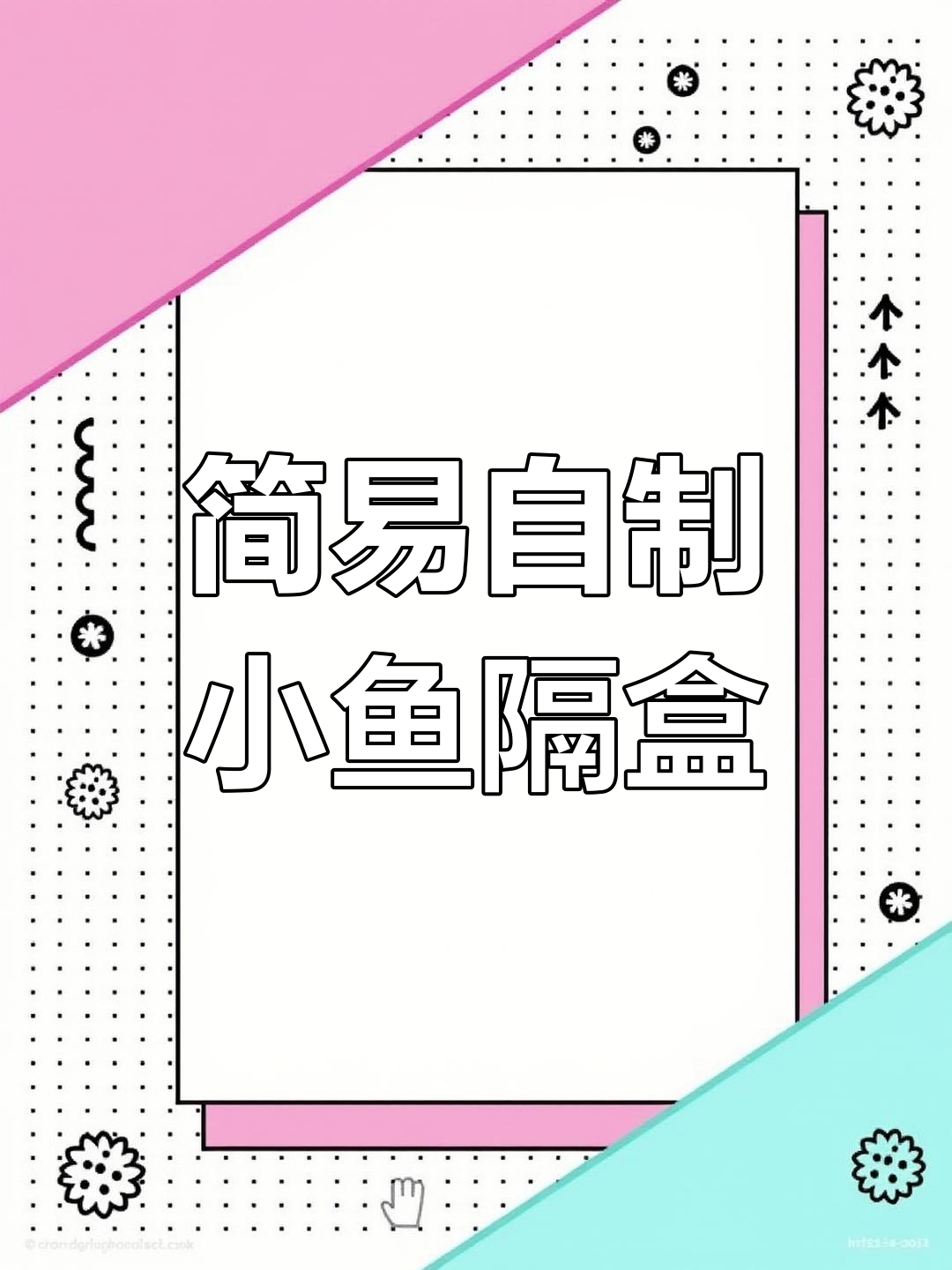 自制小鱼隔离盒,简单又实用,孔雀鱼繁殖必备