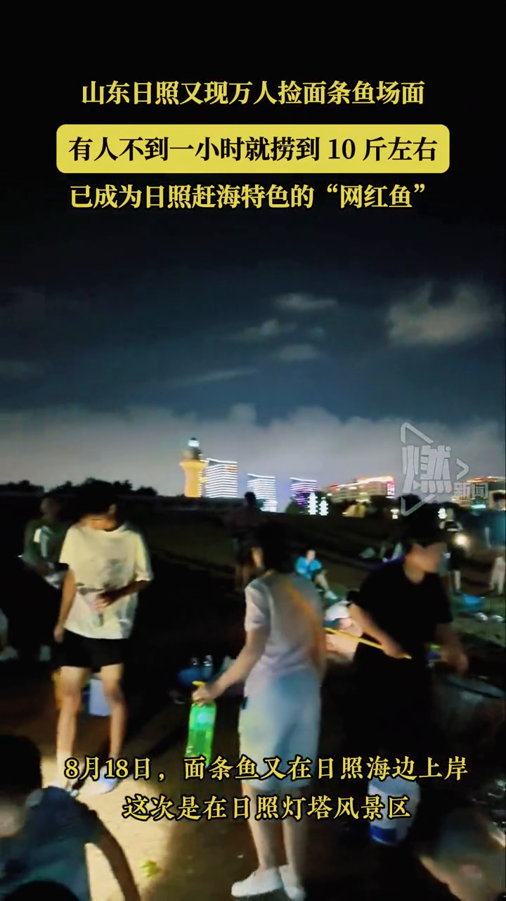 山东日照又现万人捡面条鱼场面 有人不到一小时就捞到10斤左右