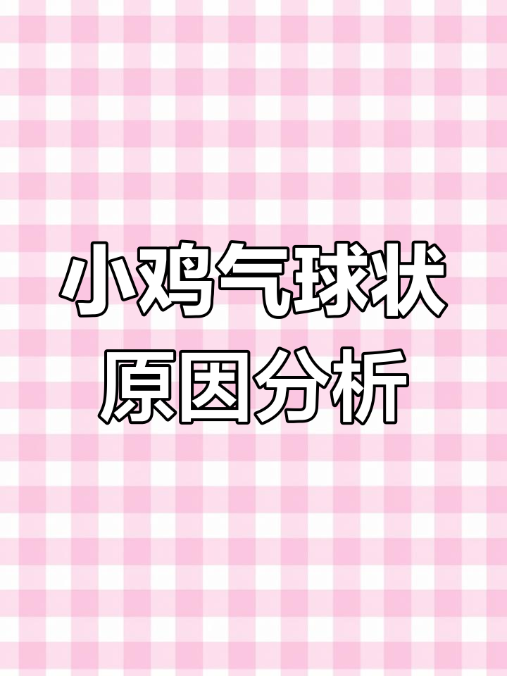 小鸡气囊破裂,像气球一样鼓胀,怎么办?