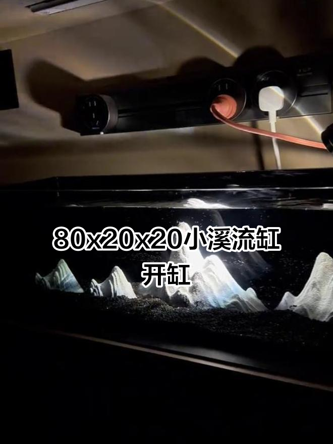 小溪流缸开箱与造景,轻松打造原生生态鱼缸
