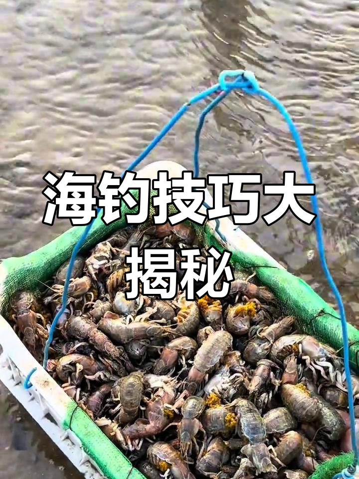 鲅鱼圈赶海,教你轻松捕捉蝼蛄虾!