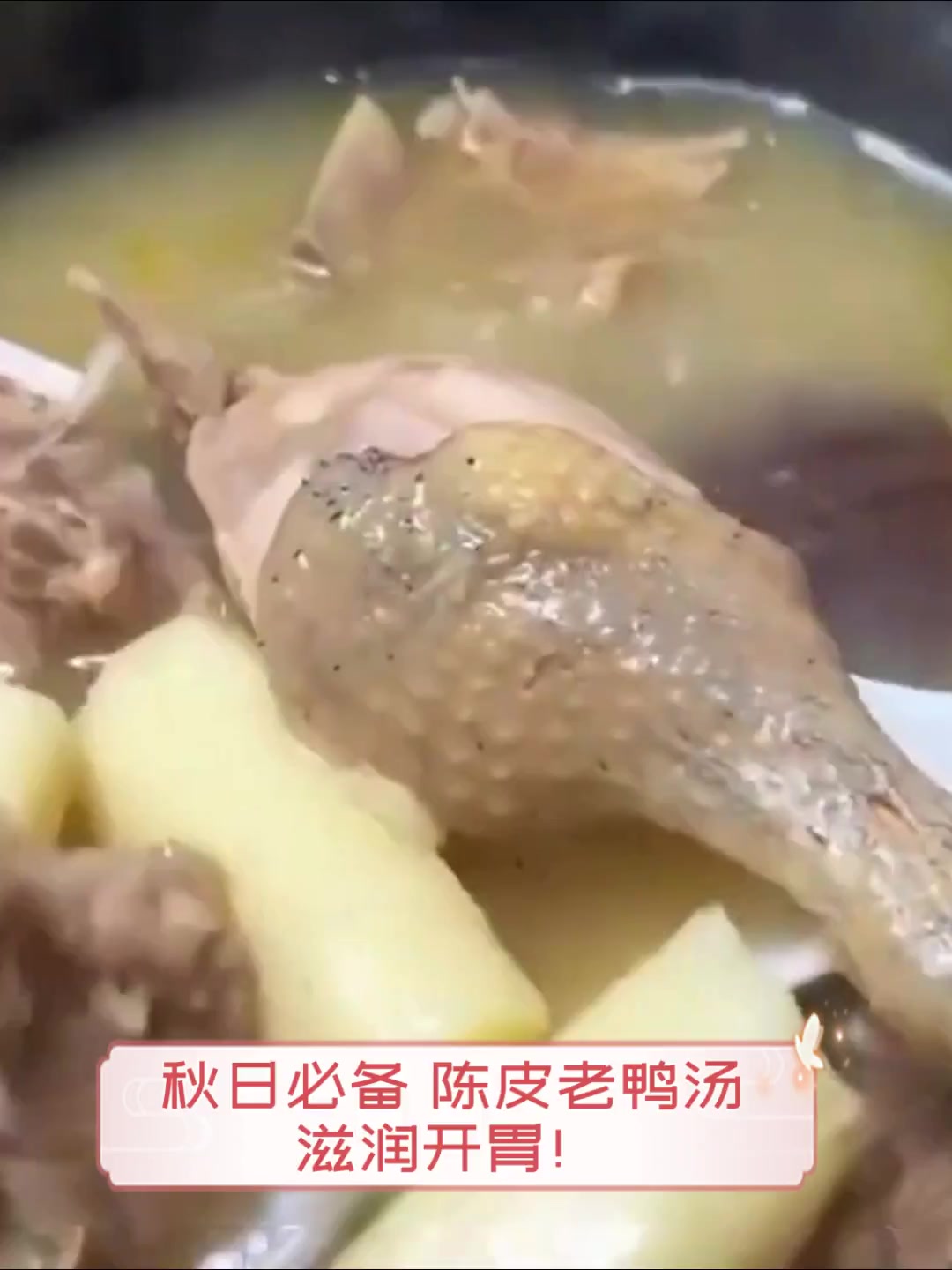 秋日必备,陈皮老鸭汤,滋润开胃!