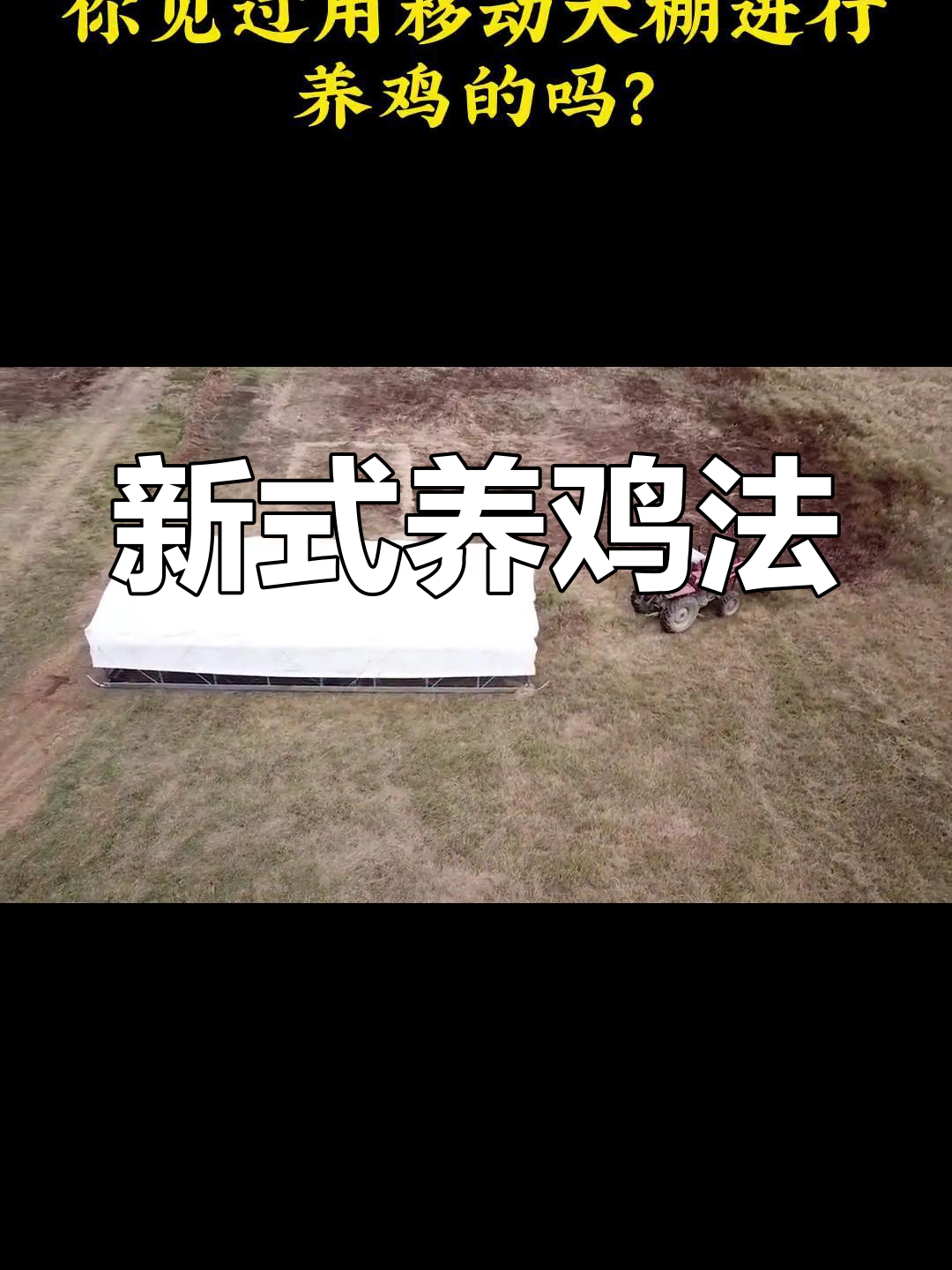 移动大棚养鸡,2023新模式!