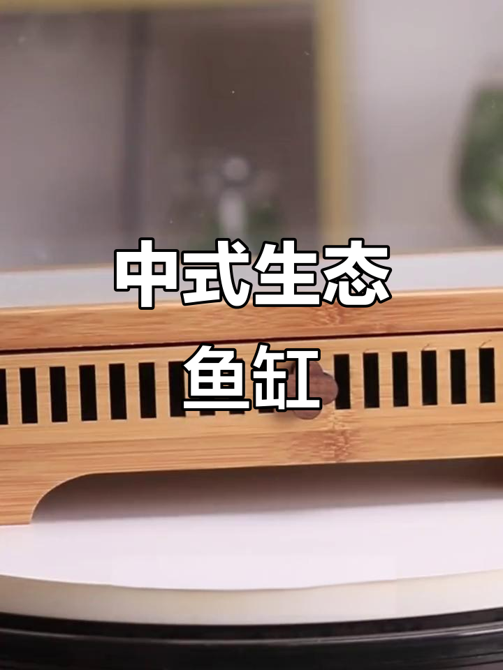 古风木盒小鱼缸，山水设计超美观