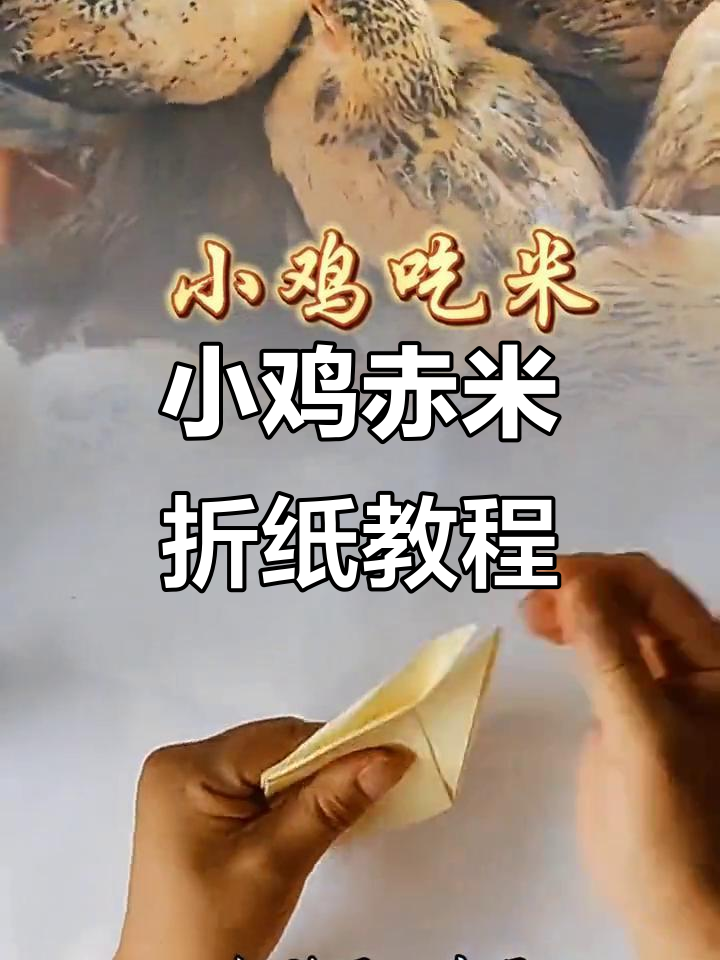 折纸小鸡吃米,简单又有趣的手工DIY