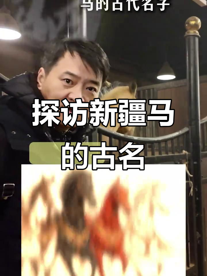 新疆马种大揭秘:古代名字与珍稀品种