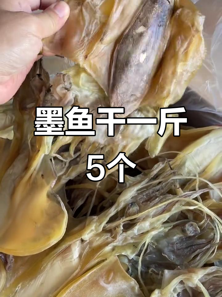 一斤墨鱼干,5个左右超值装
