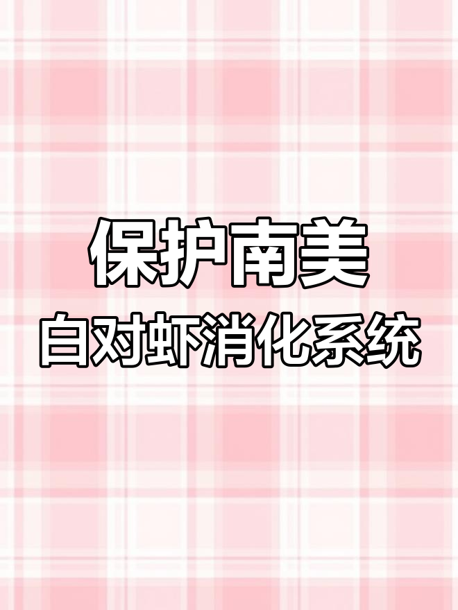南美白对虾消化系统解析:如何保持健康