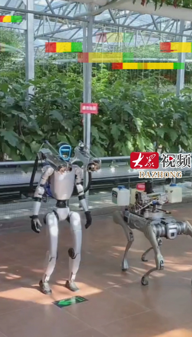 扛“枪”打药机器人亮相潍坊寿光菜博会,一天能干100亩