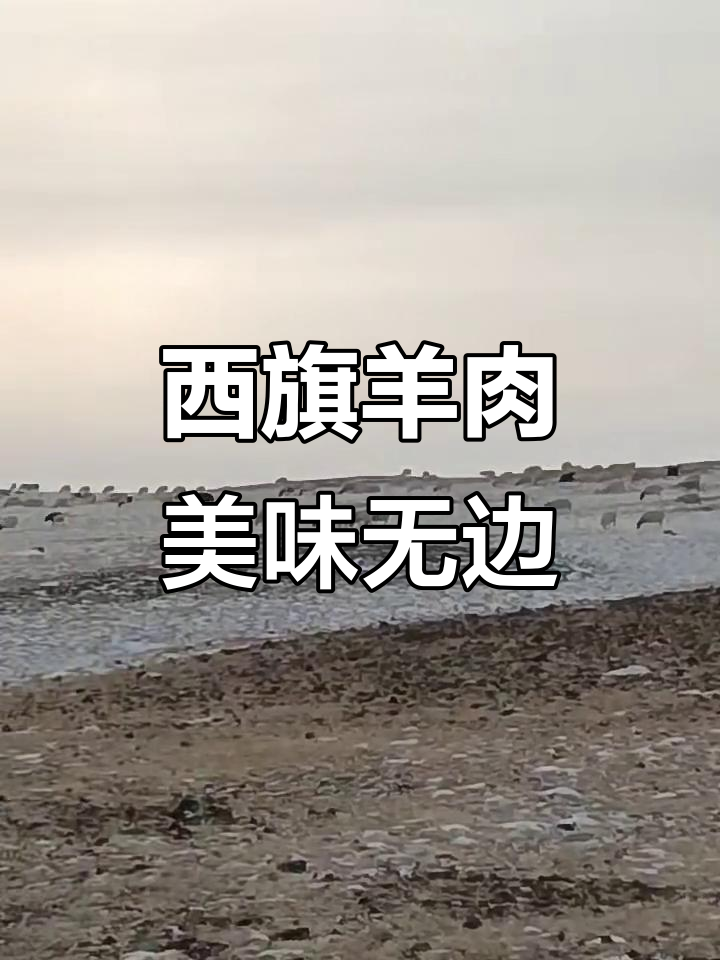 内蒙古呼伦贝尔西旗羊肉:品质与美味的完美结合