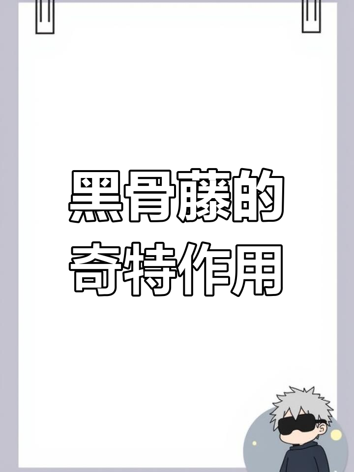 鸡舌草:一种神奇植物,祛风除湿、调经排湿效果显著