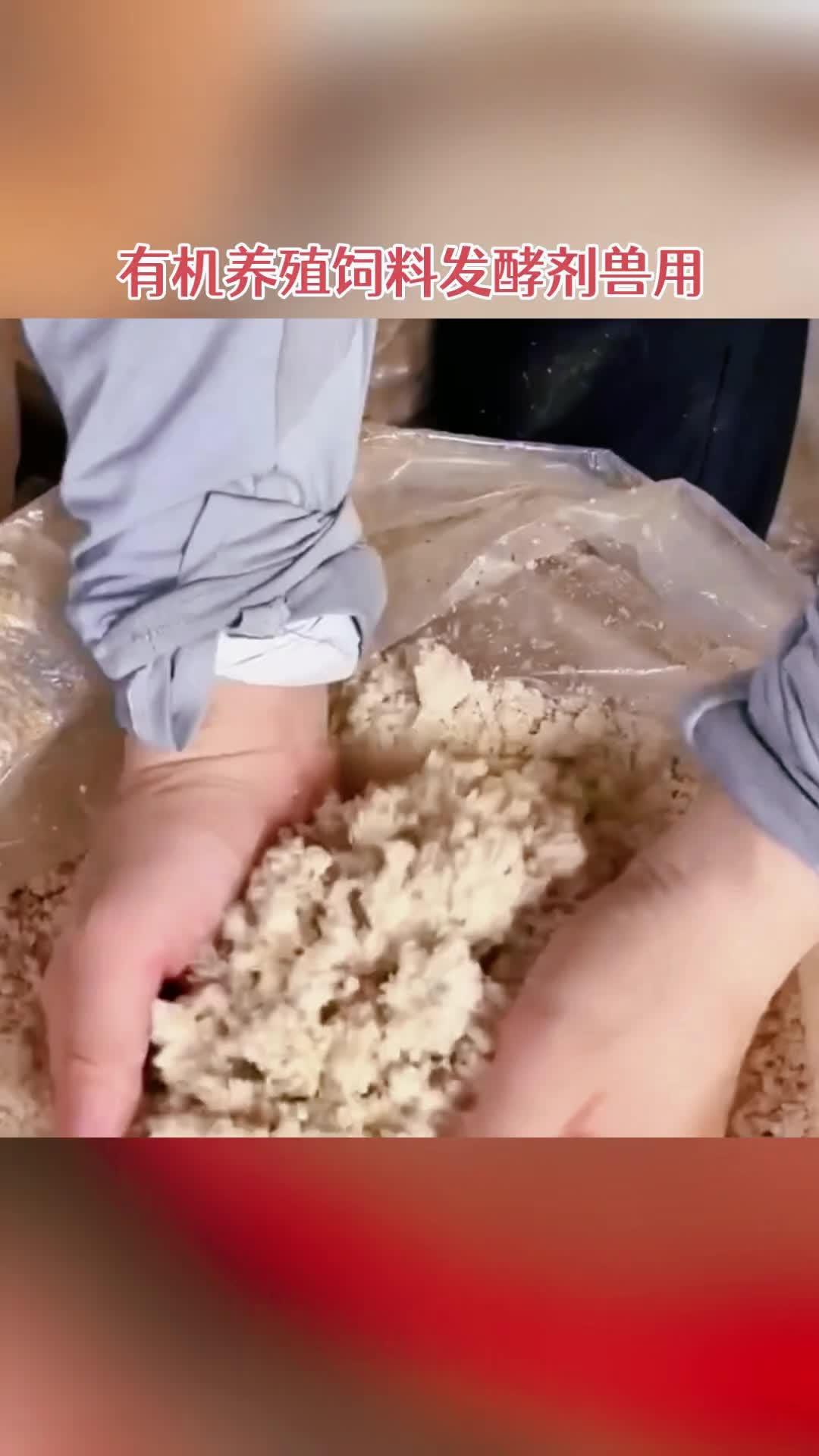 三农 养殖 养狗 狗狗的心思都写在脸上了 发酵饲料 养狗的朋友都知道这个豆渣呀喂狗便宜又好