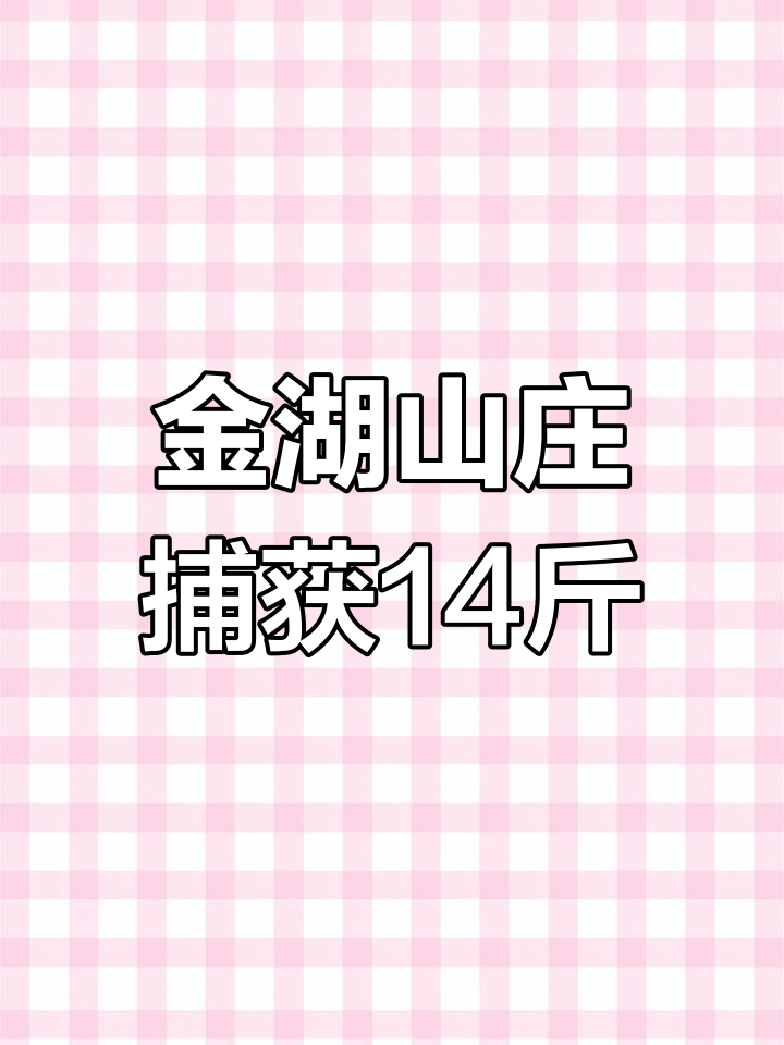 皂市水库金湖山庄捕捞大丰收,14斤鱼货让人惊喜连连