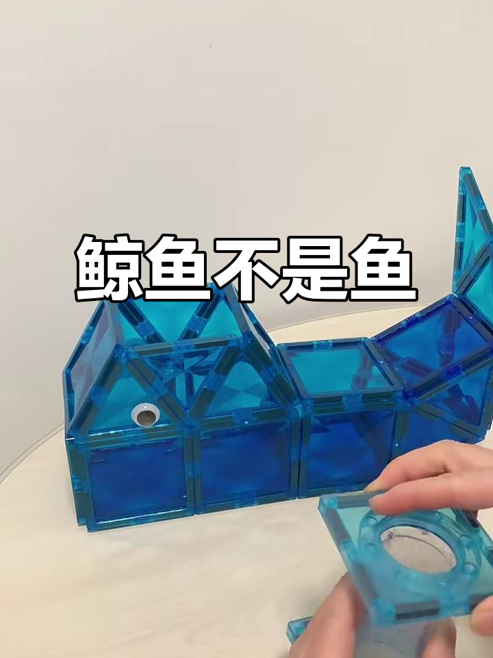 鲸鱼竟然被当成鱼类,真是让人惊讶!