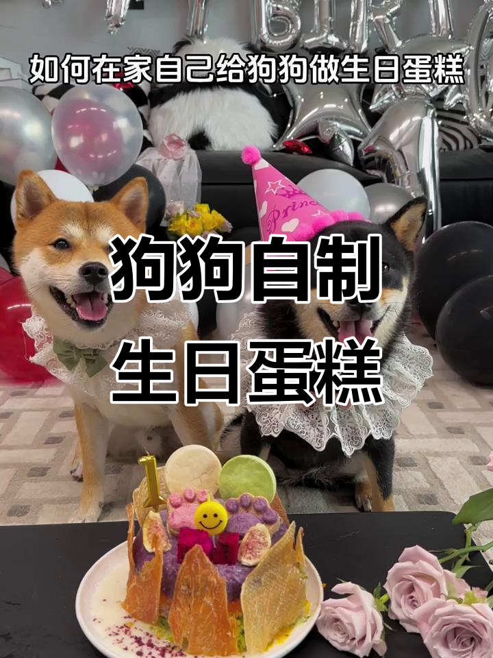 在家为狗狗做生日蛋糕,简单又美味!