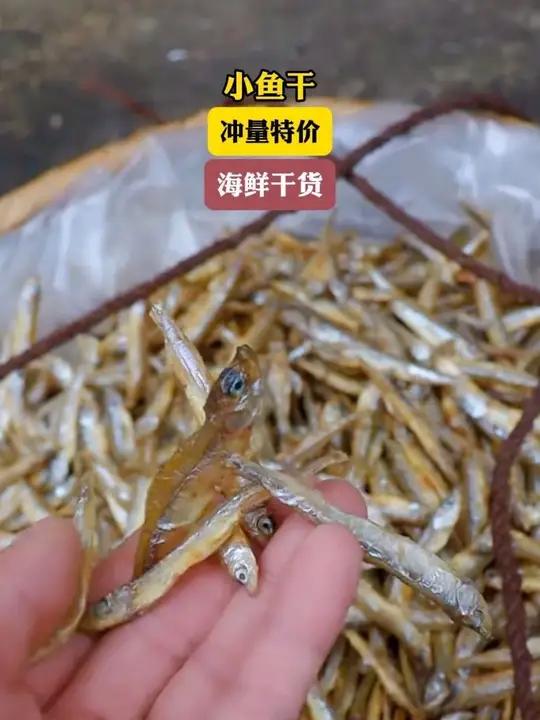 「冲量特价」公干鱼干白公鱼美味小鱼干海鲜干货海燕丁香鱼咸鱼干