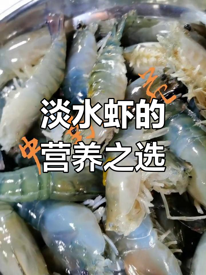 罗氏虾,营养丰富,适合各年龄段食用