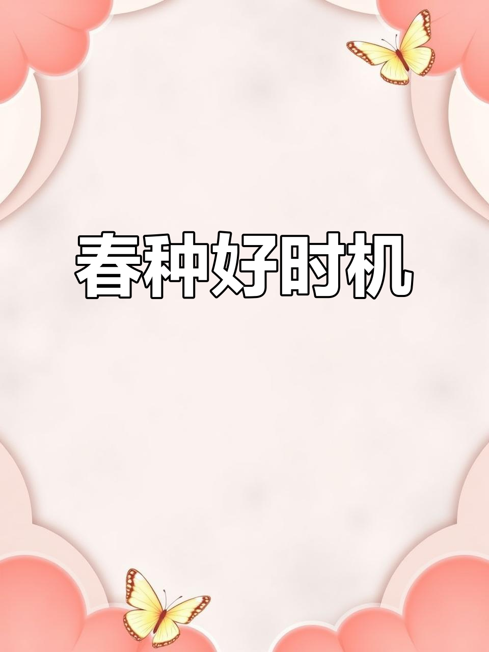 寿光蔬菜苗,春季种植必备!
