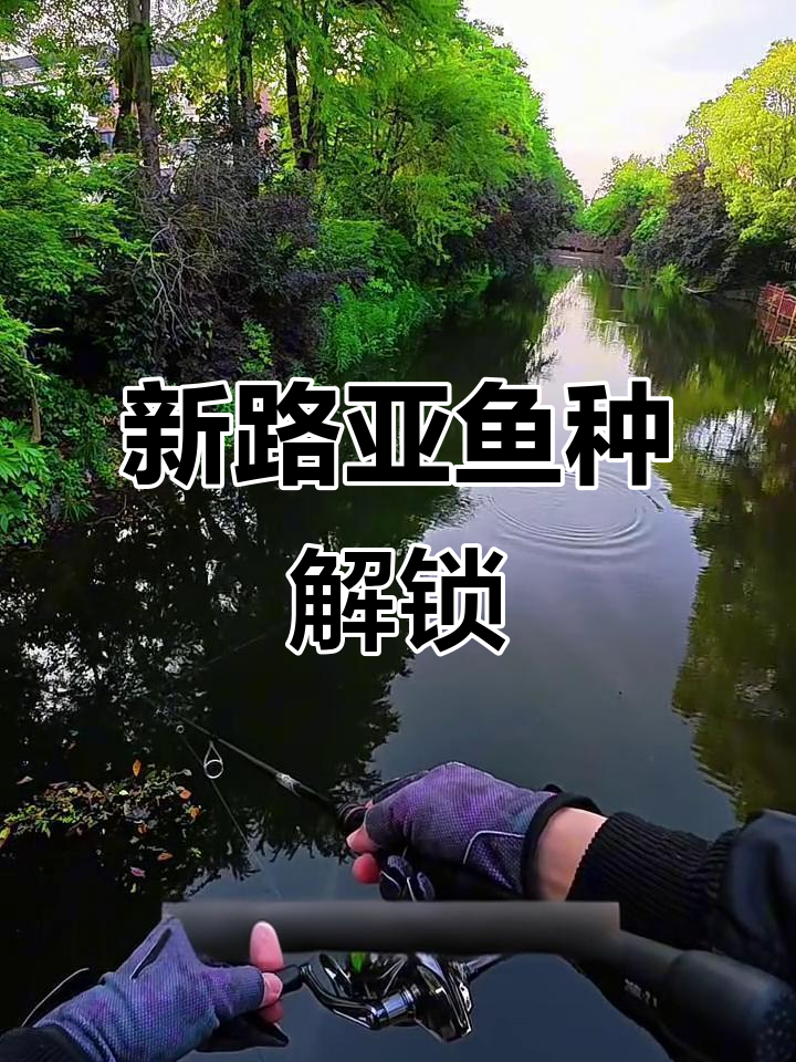 解锁新鱼种，土鲶鱼上钩！