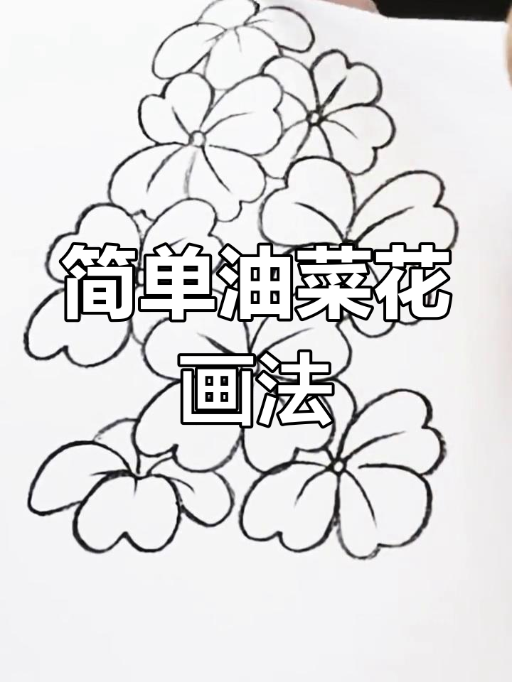 油菜花简笔画教程